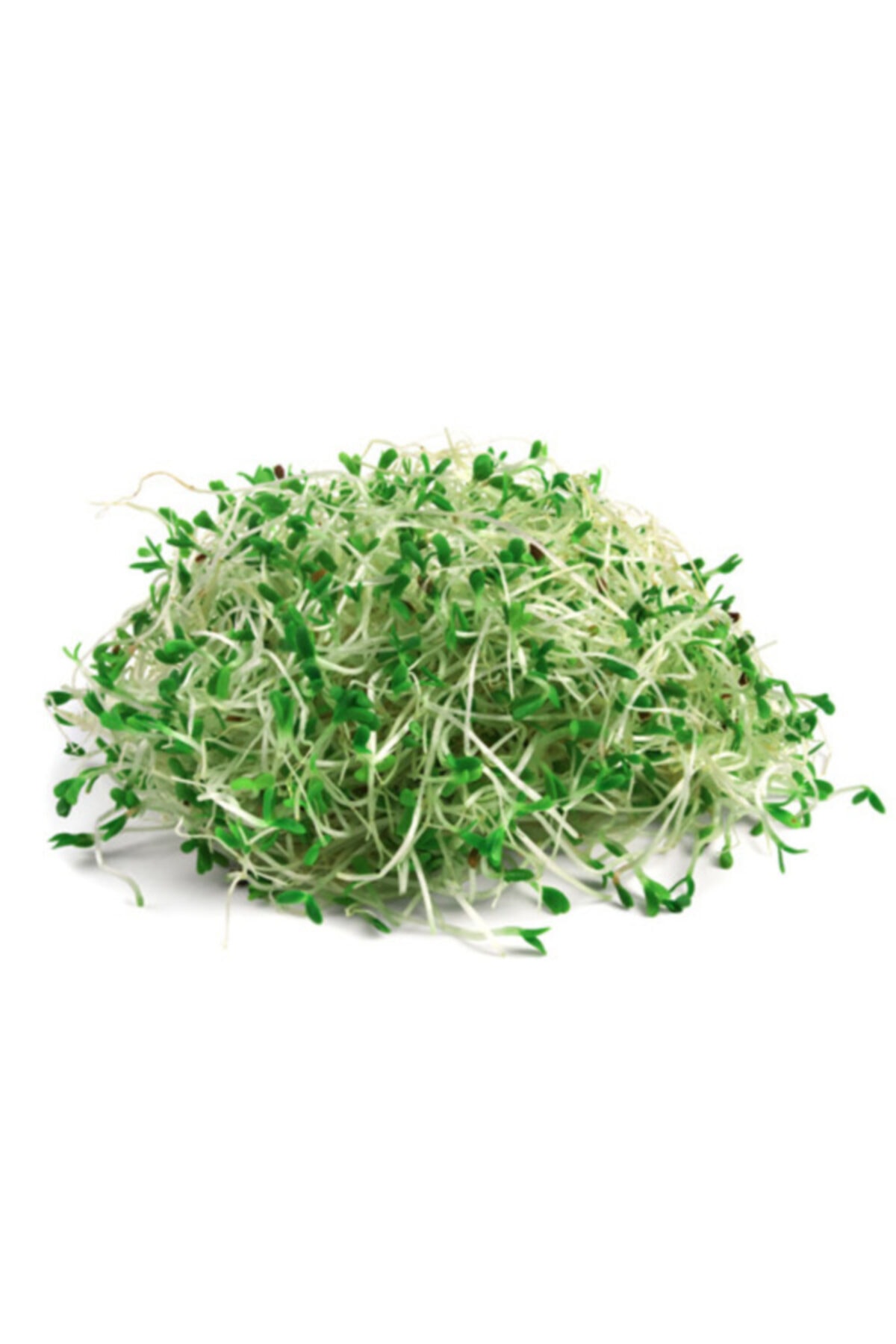 ÇİMDİK Yeşil Brokoli Filizi 20 gr 10'lu