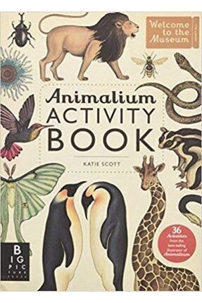 Animalium Activity Book 9781783703432