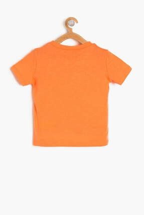 Mercan Erkek Bebek Kısa Kollu T-Shirt 8YMB18412ZK