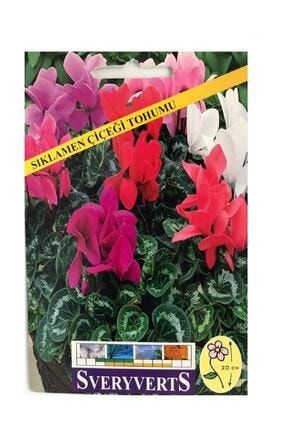 Sıklamen Çiçeği Tohumu Paket SVRVRTS-TH-62