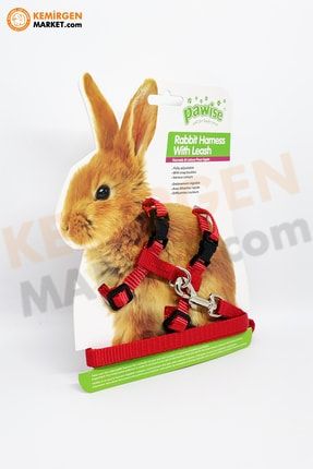 Tavşan,kemirgen Göğüs Tasması (kırmızı) KM-4955