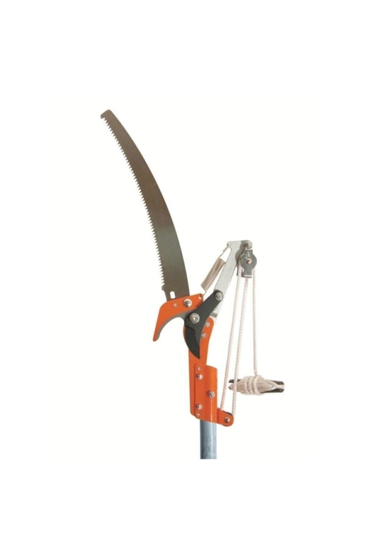 Hortex deluxe tree clearance lopper