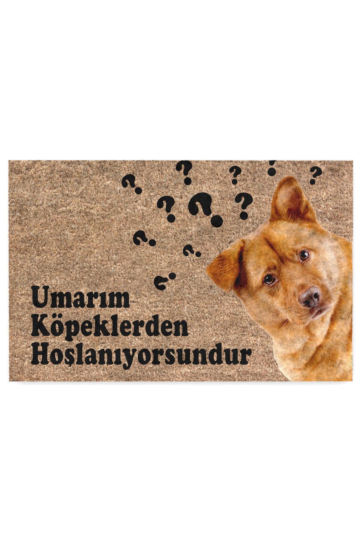 Decorative Door Mat, Interior/ Door Mats (I HOPE YOU LIKE DOGS)