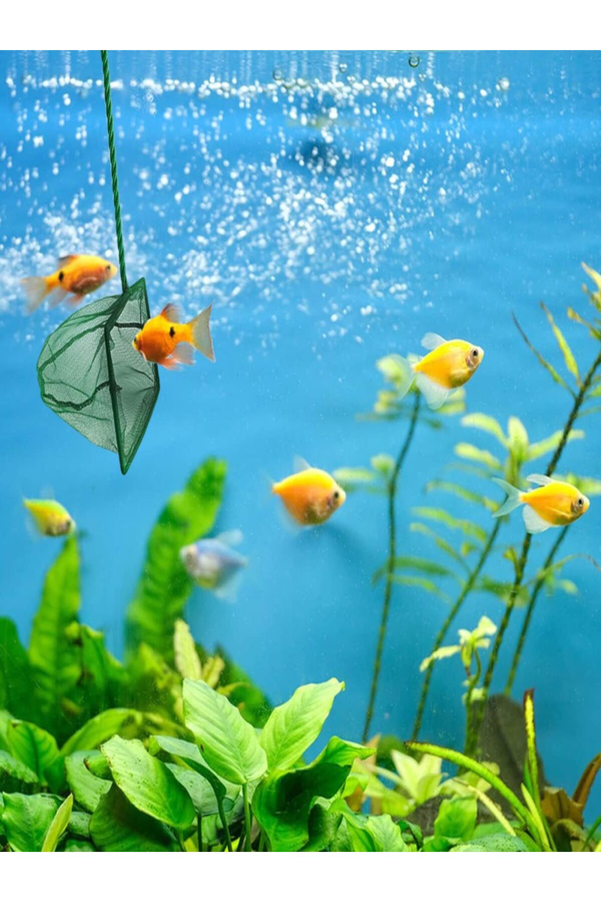 İNDİRİM PRO Akvaryum Balık Kepçesi 7.5 Cm