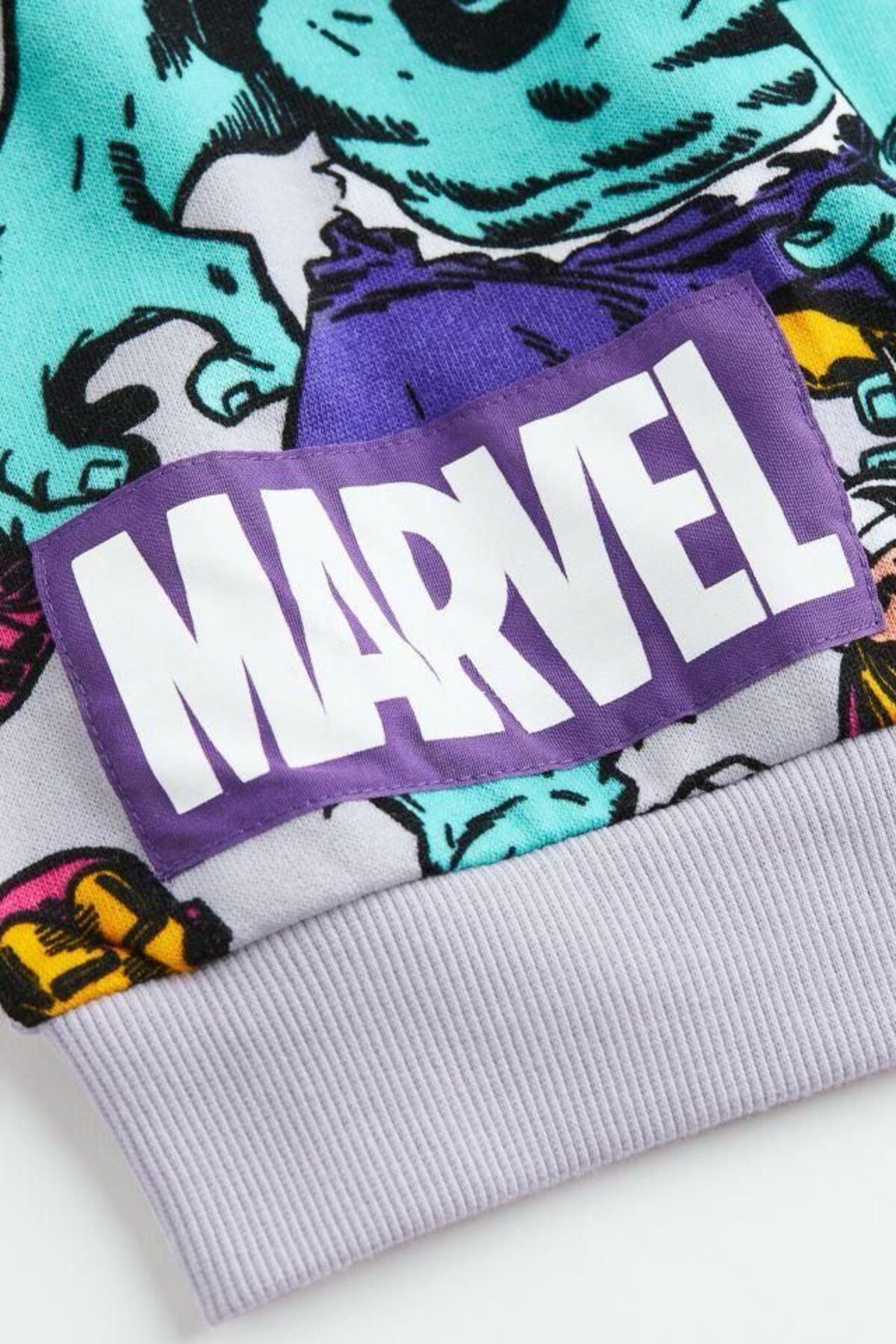 سویشرت پسرانه بنفش HAVİSA KİDS | hvs-swit.02020 اورجینال - تصویر 2