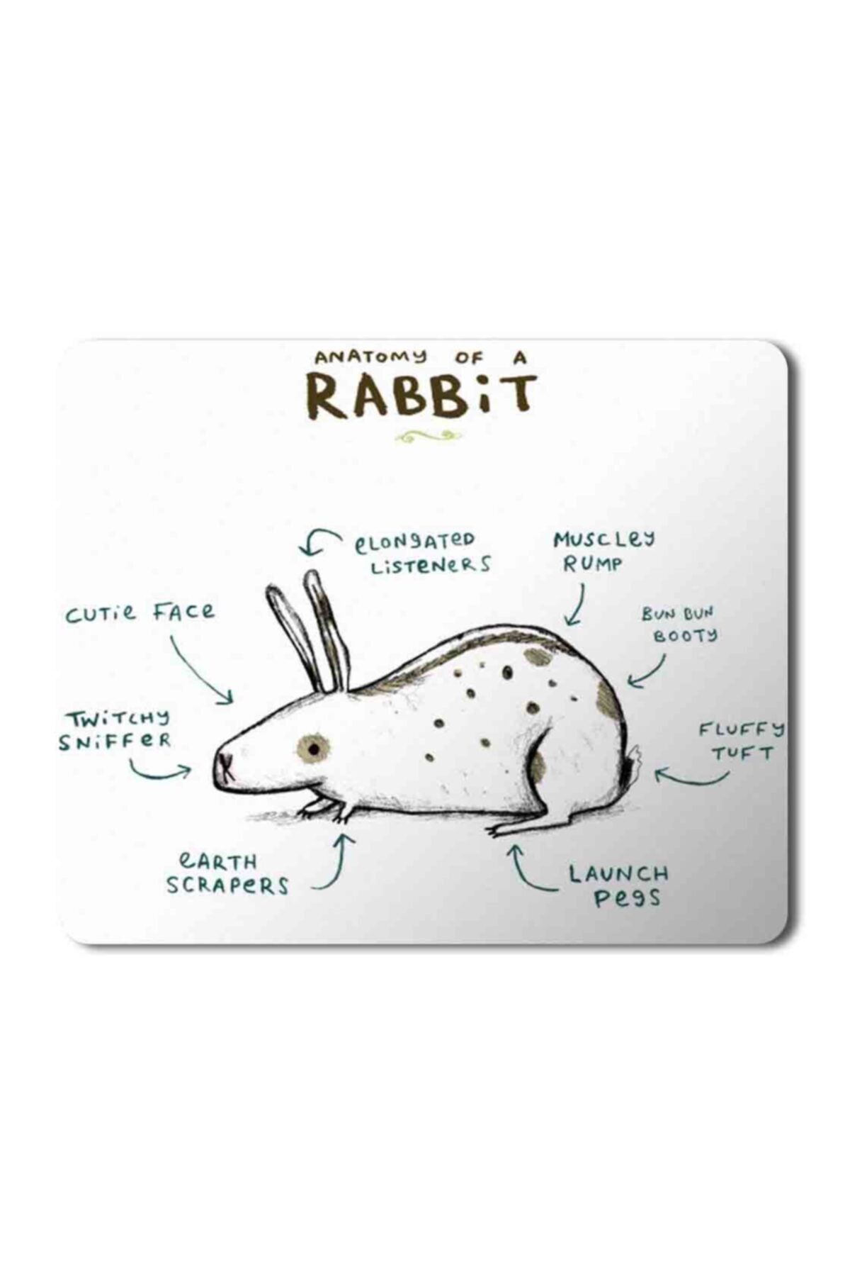 ART HEDİYE-Rabbit Anatomy Anatomy Of A Rabbit Mouse Pad Mousepad 1