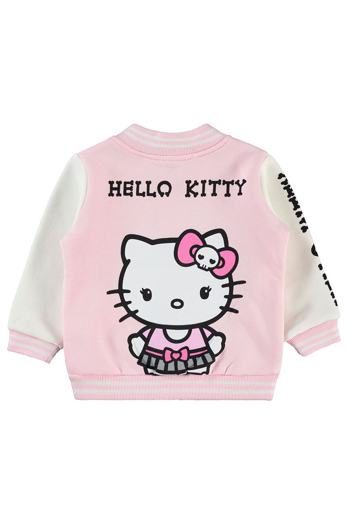 Hello Kitty Kız Çocuk 2'li Külot Set 2-10 Yaş Pembe Fiyatı 2021726 / PMB