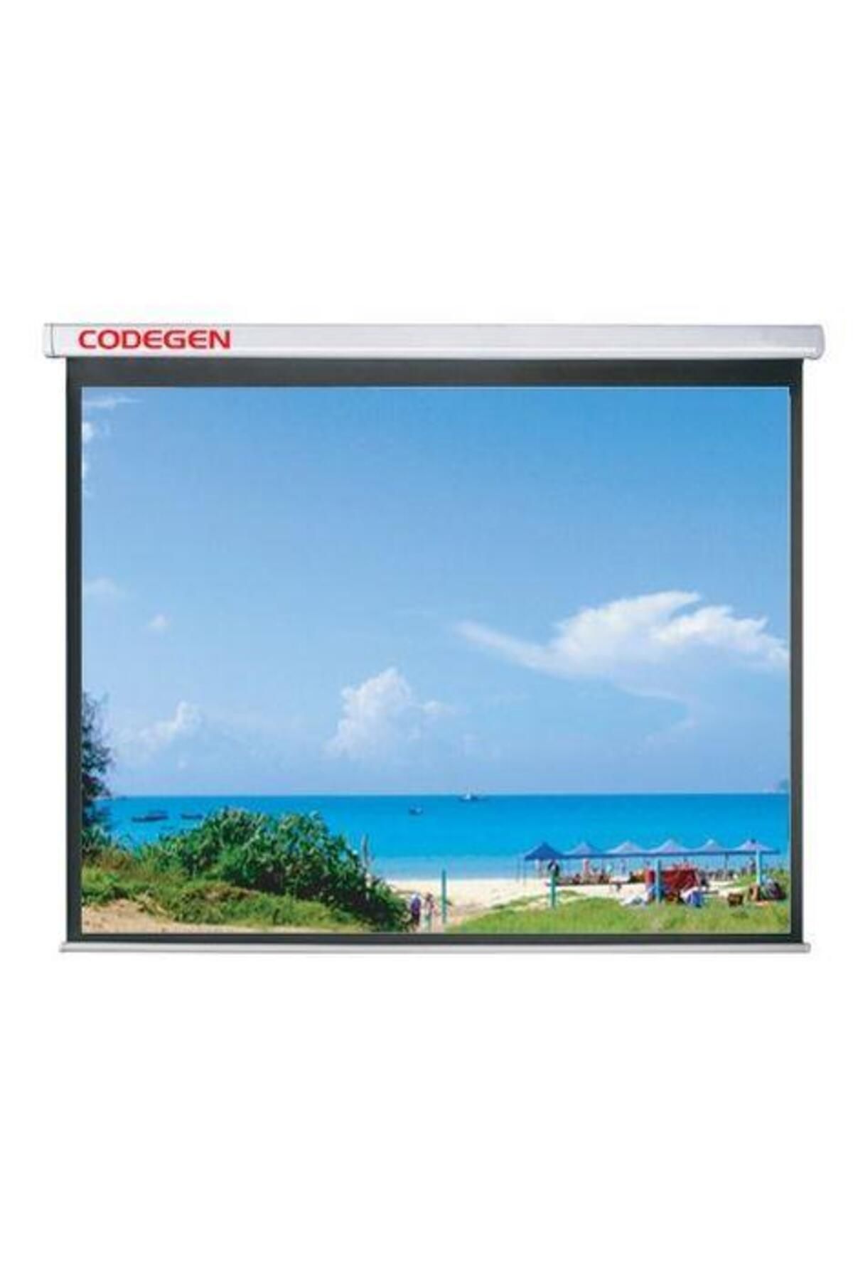 Ax24 240X200 Storlu Perde