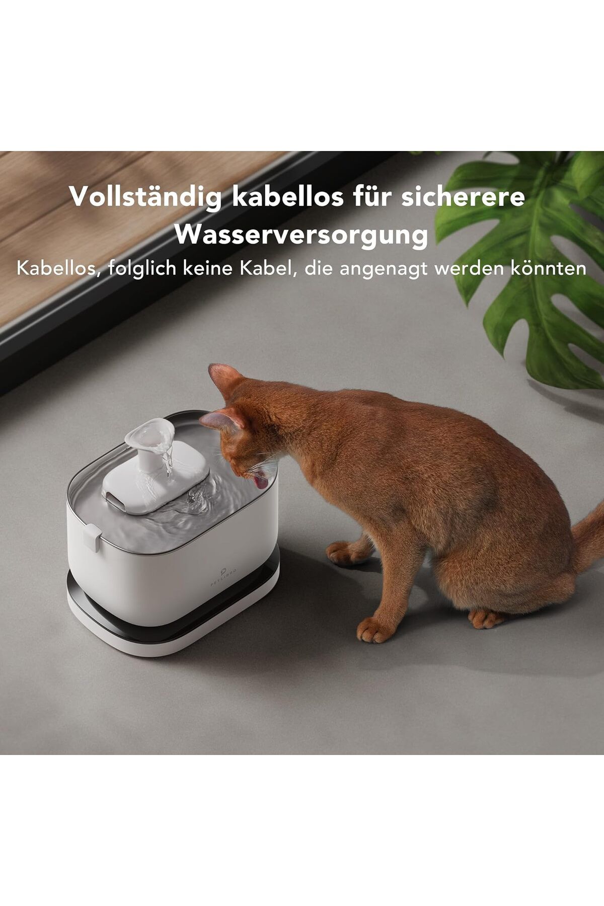 petlibro-Cat fountain, wireless, BPA free, ultra-quiet, with motion sensor, Dockstream battery operated 4