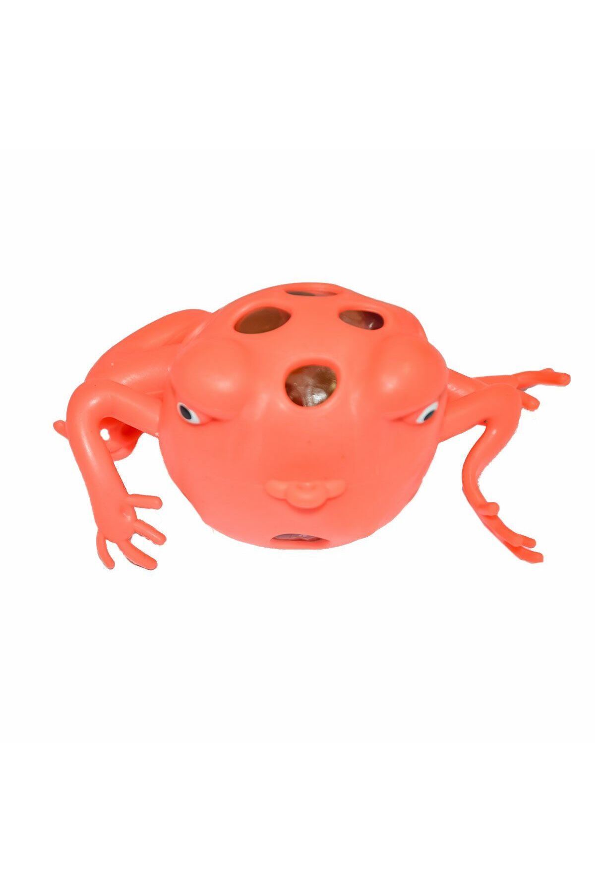 TWOX-2253 Frog Brain Keychain -1 Pieces Are Shipped in Stock 2