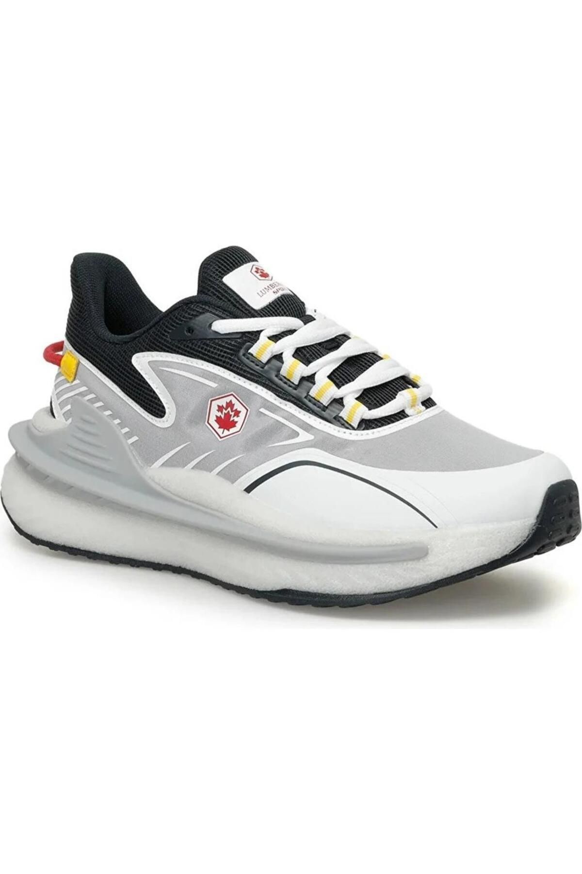 Scarpe limited edition 2019 top