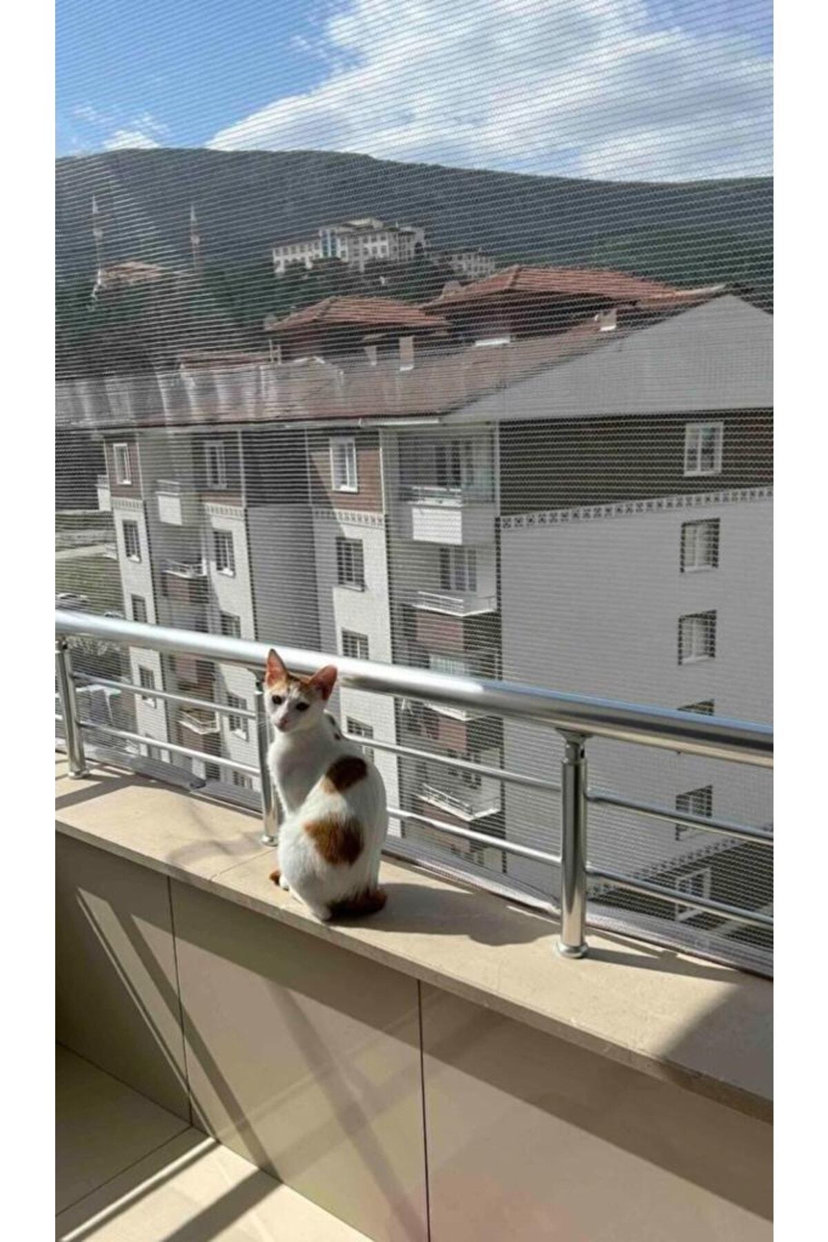 Asenya Balkon Filesi 1x1,50 m Kuş Önleme Filesi Kedi Filesi Güvercin Önleme Ağı Koruma Filesi Dolu Filesi