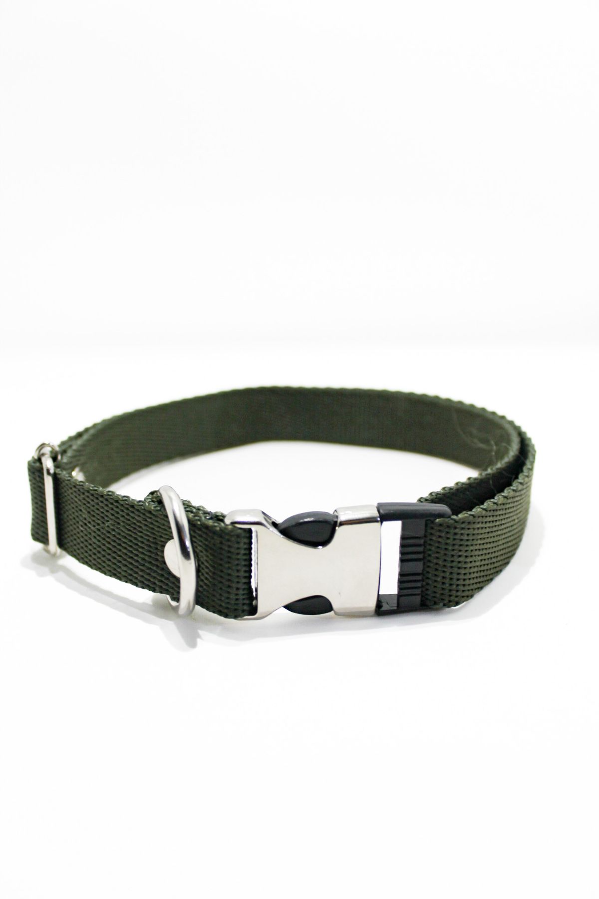 Green dog collar hotsell