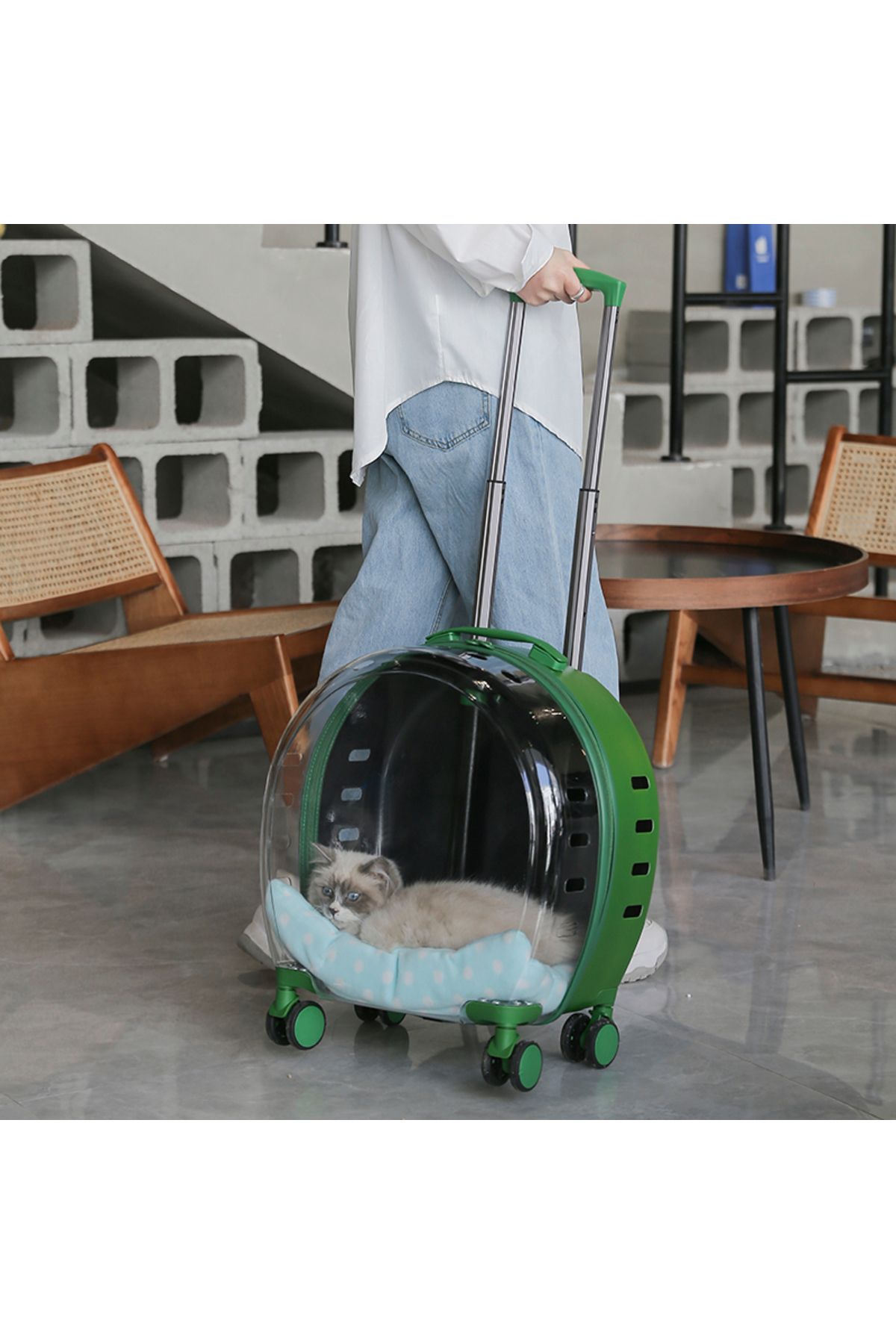 RAIKOU EUROPE Pet stroller cat dog transparent window wide view travel trolley case