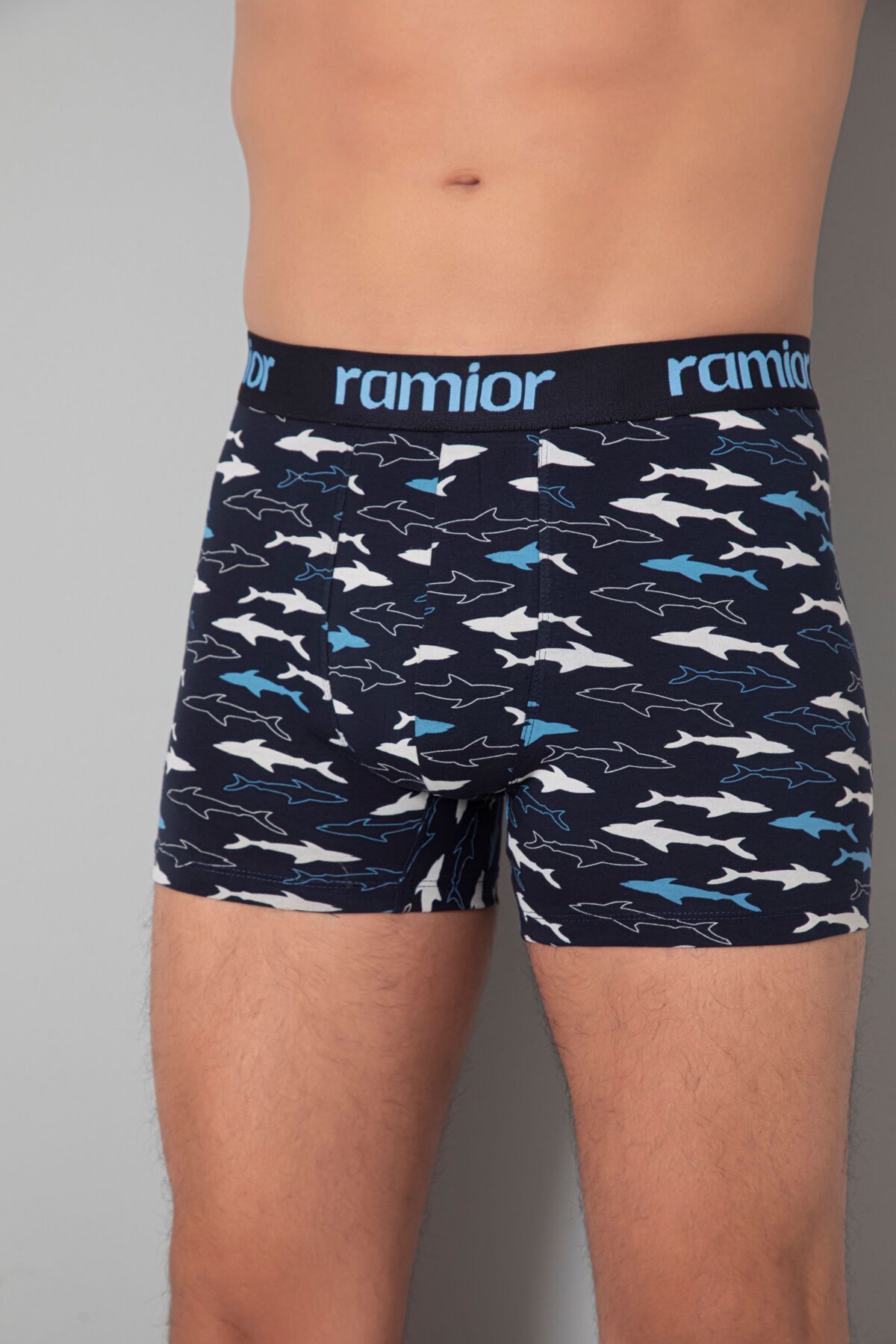 باکسر مردانه خاکی Ramior | RMR170029 اورجینال - تصویر 3