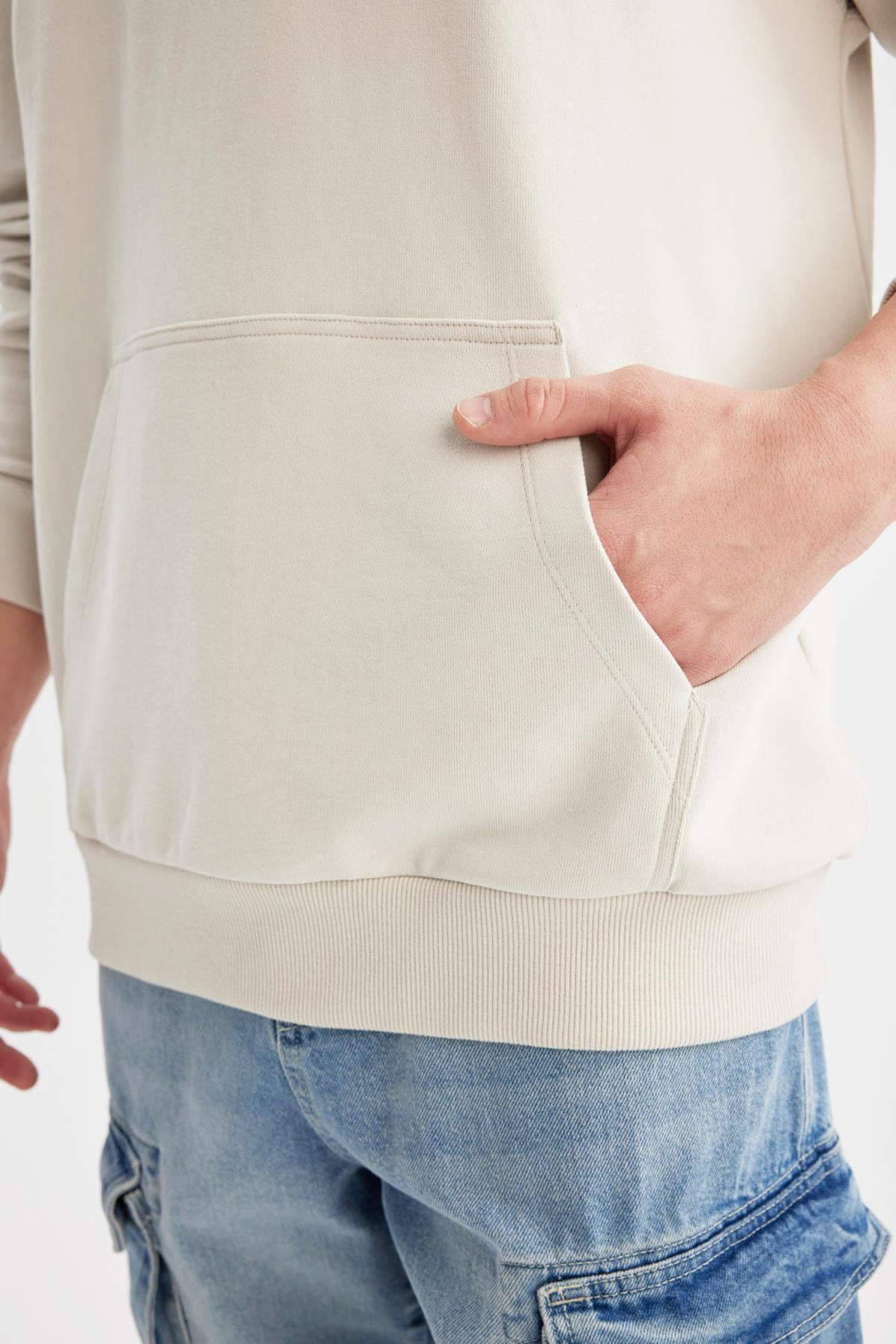 سویشرت مردانه دفاکتو | B4446AX24SP Defacto - Image 6