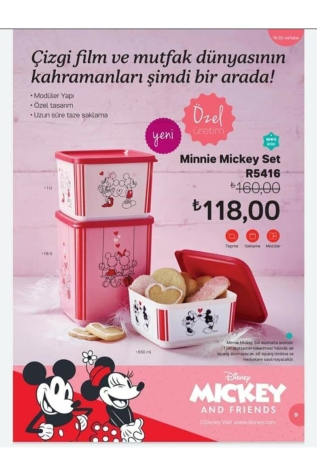 Tupperware-Minnie & Mickey Square Storage Container Set 2