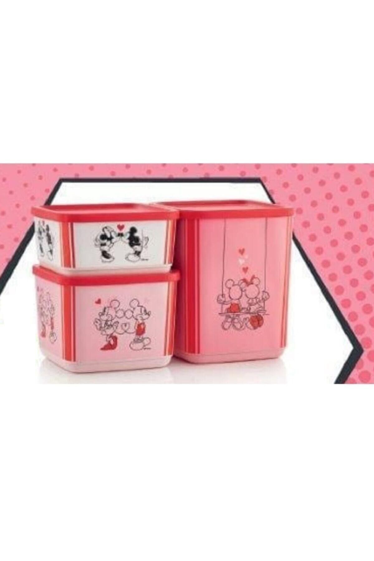 Tupperware-Minnie & Mickey Square Storage Container Set 5