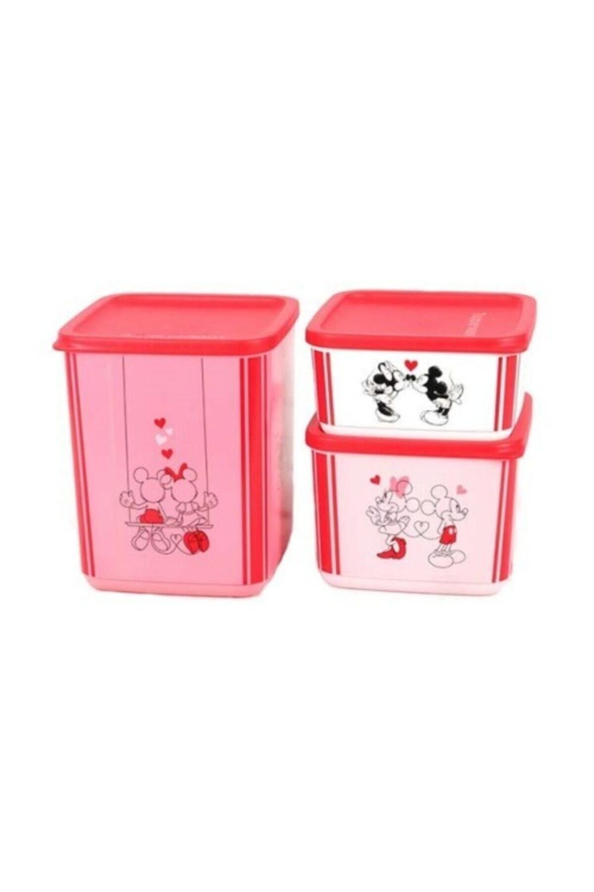 Tupperware-Minnie & Mickey Square Storage Container Set 6