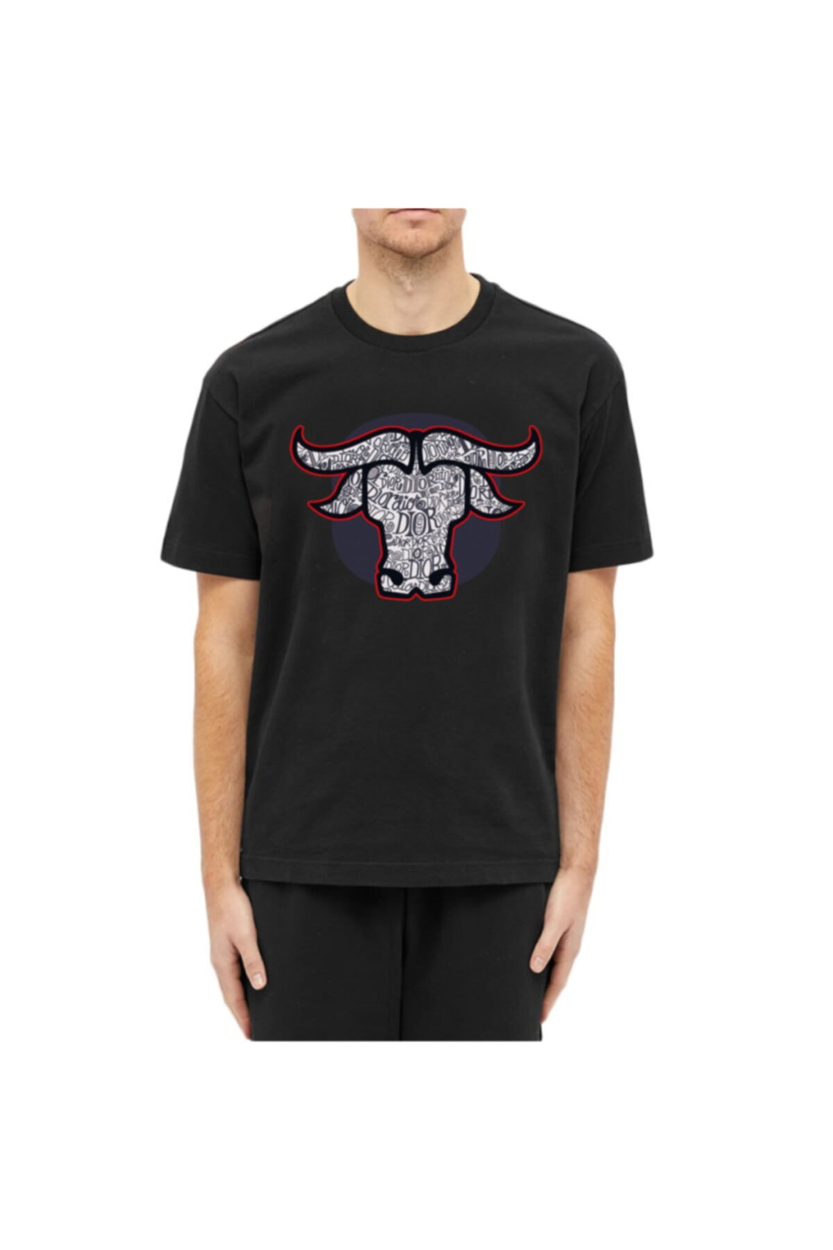 DIOR HOMME T-shirt Fiyatı, Yorumları 