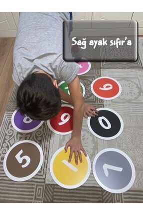 Montessori Oyna Öğren Eğitici Oyuncak ZO1