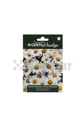 Çiçek Tohumu Margrit Papatya - Alman Papatyası 321100001A055