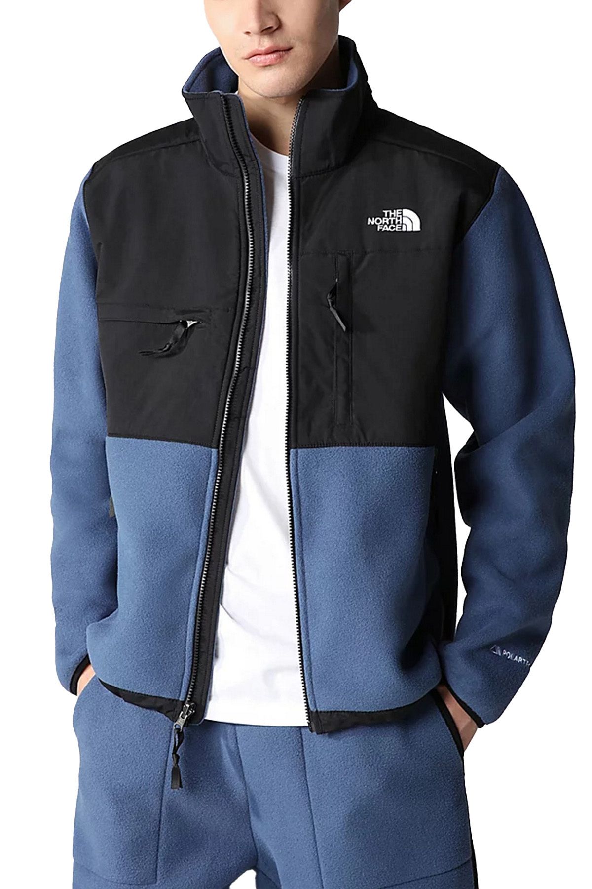 Denali fleece north face 2025