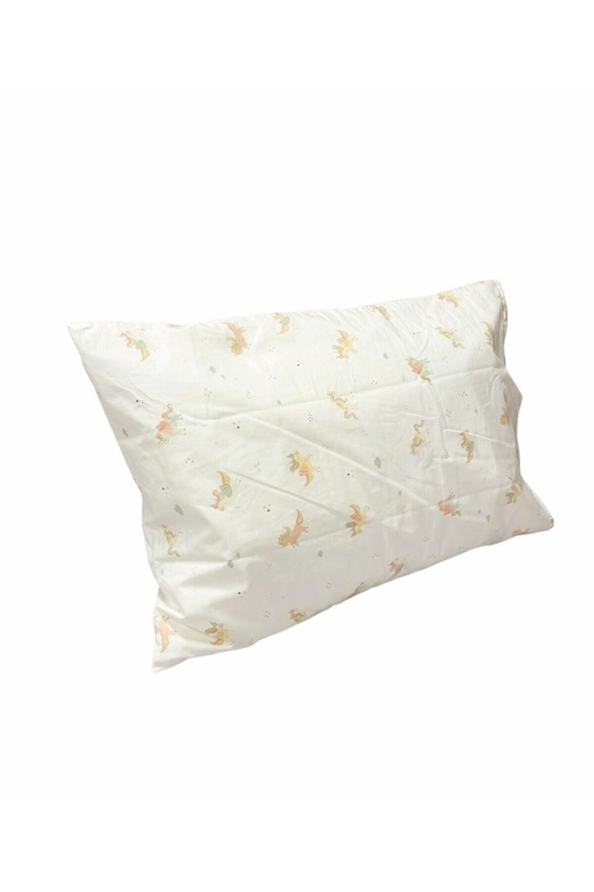 Pillow 2025 case print