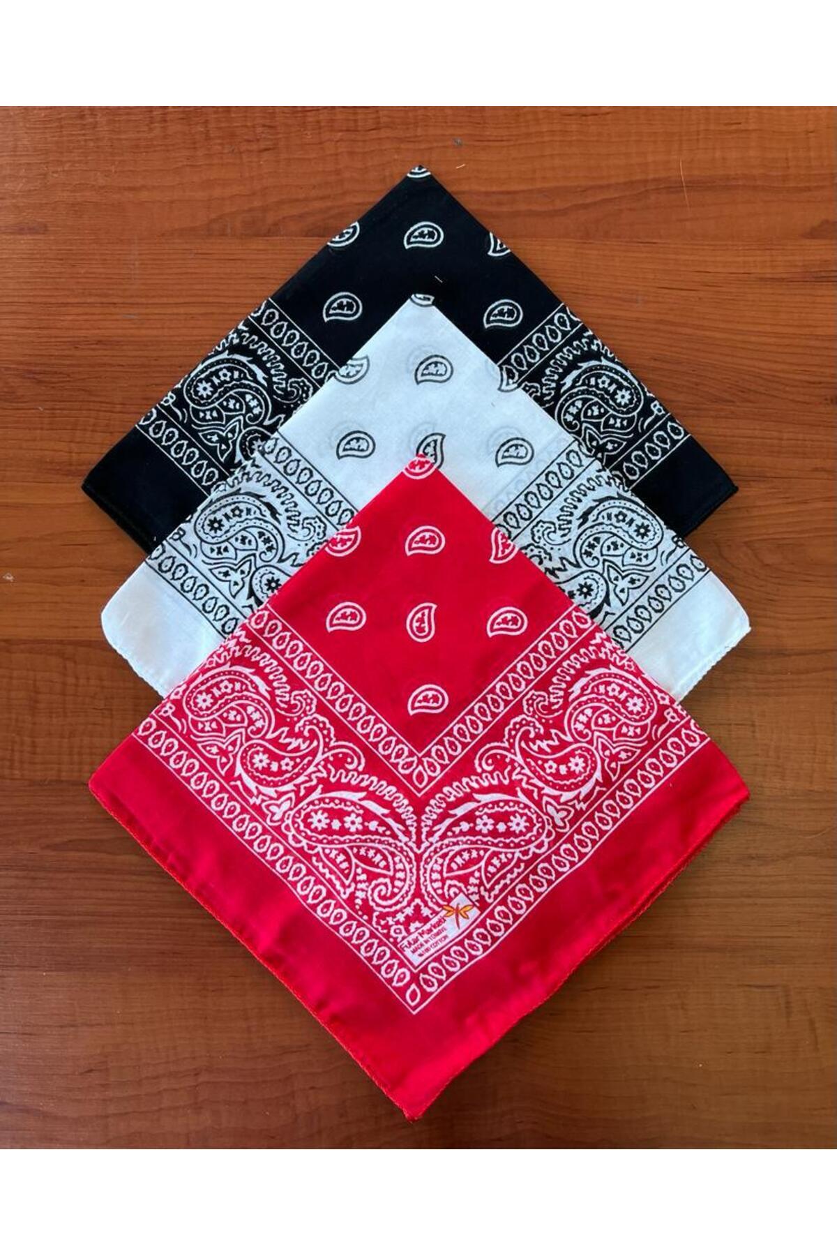 3 lü En Sevilen Renkler Etnik Desen Bandana 2