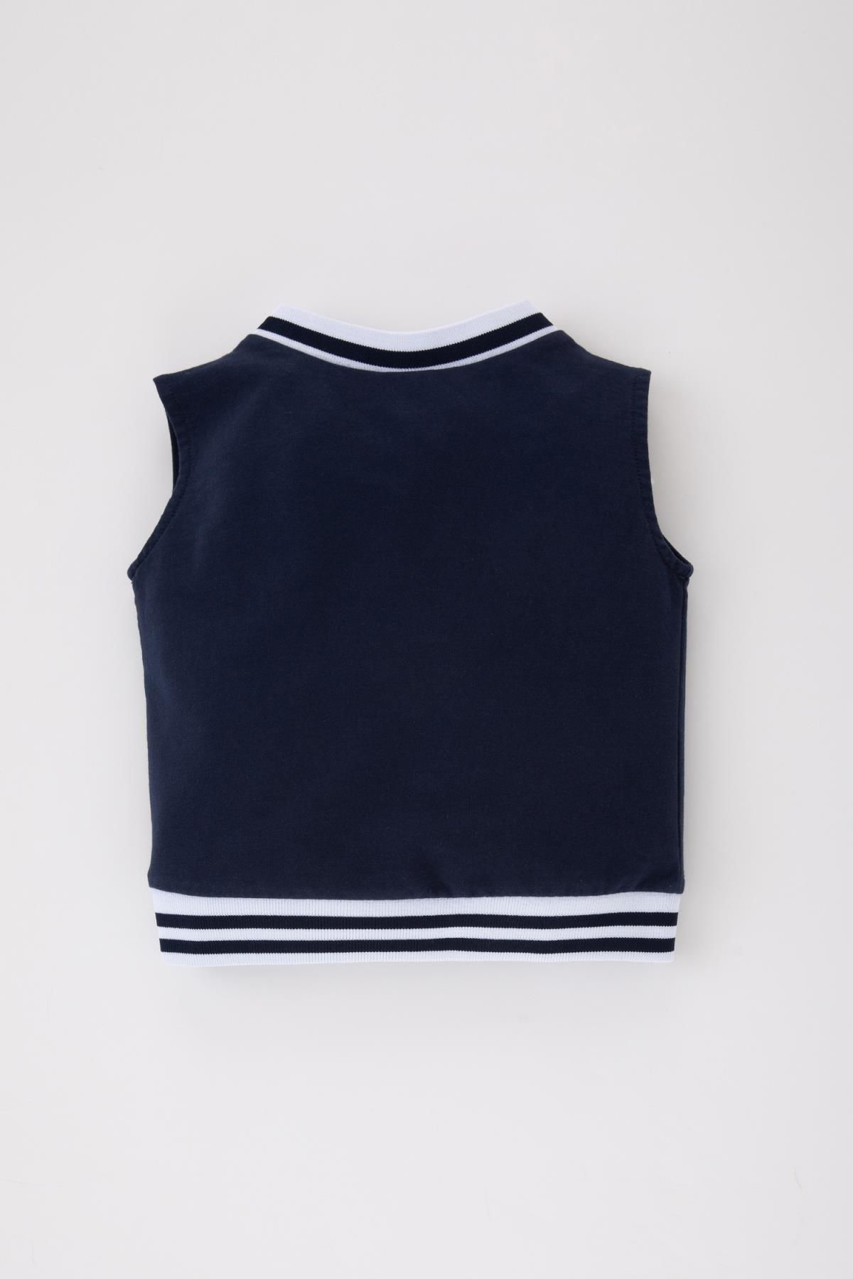 DeFacto-Baby Boy V-Neck Printed Sweater B5381a524sm 4