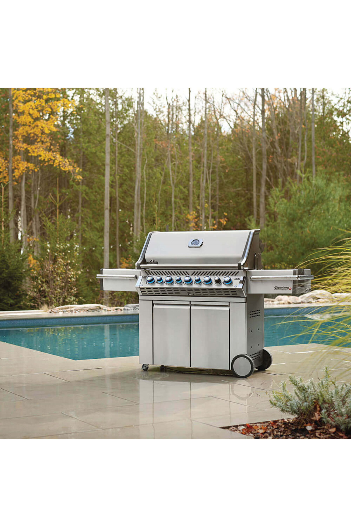 Prestige Pro 665 Rsib Gazlı Barbekü | Gazlı Mangal 4