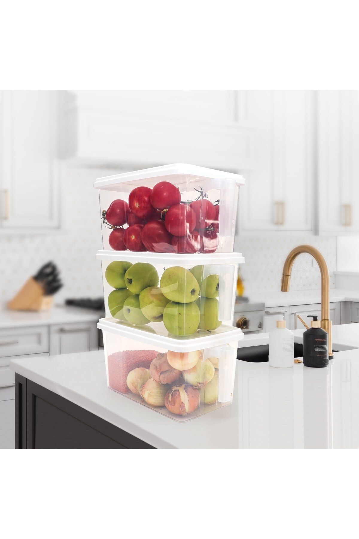 DEMPA-6 Handled Organizer - 8Lt and 4Lt Storage Container 4