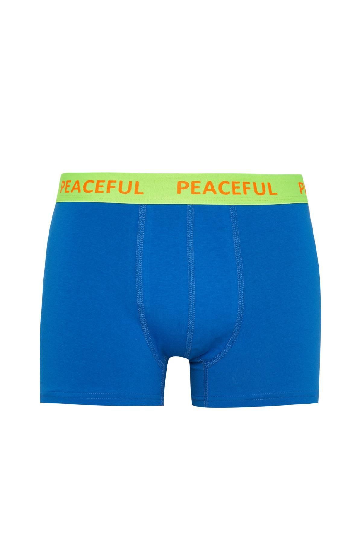 Regular Fit 3-pack Boxer B7774ax24sm Defacto