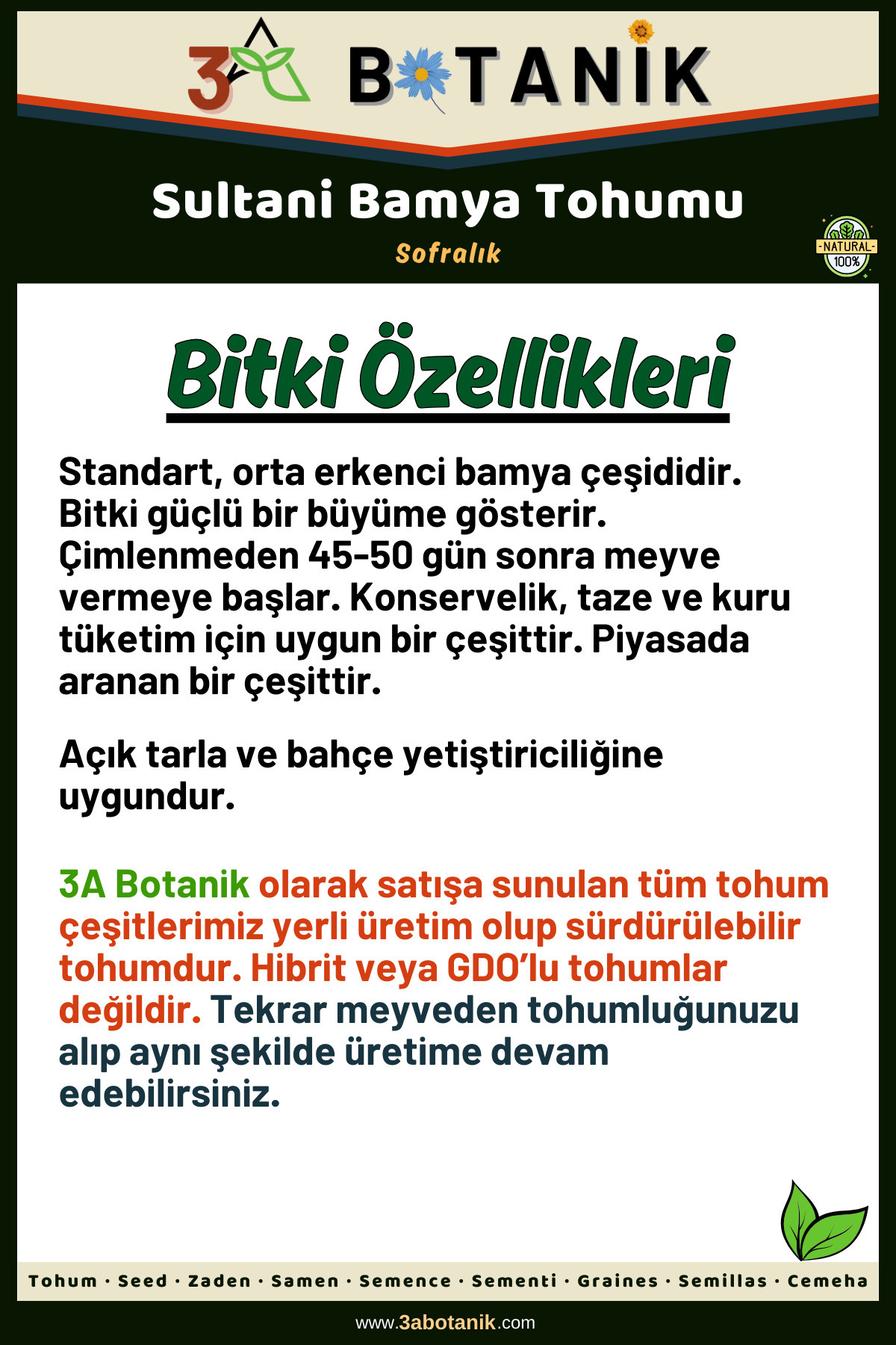 Bamya Tohumu, 7-8 Köşeli Lezzetli Çeşit, 5 Gram/75-100 Adet Tohum 2