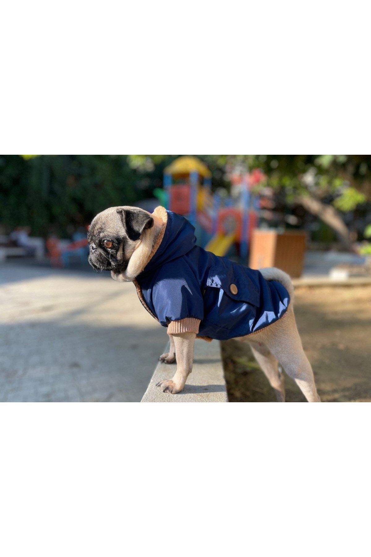 Pet dog clothes top