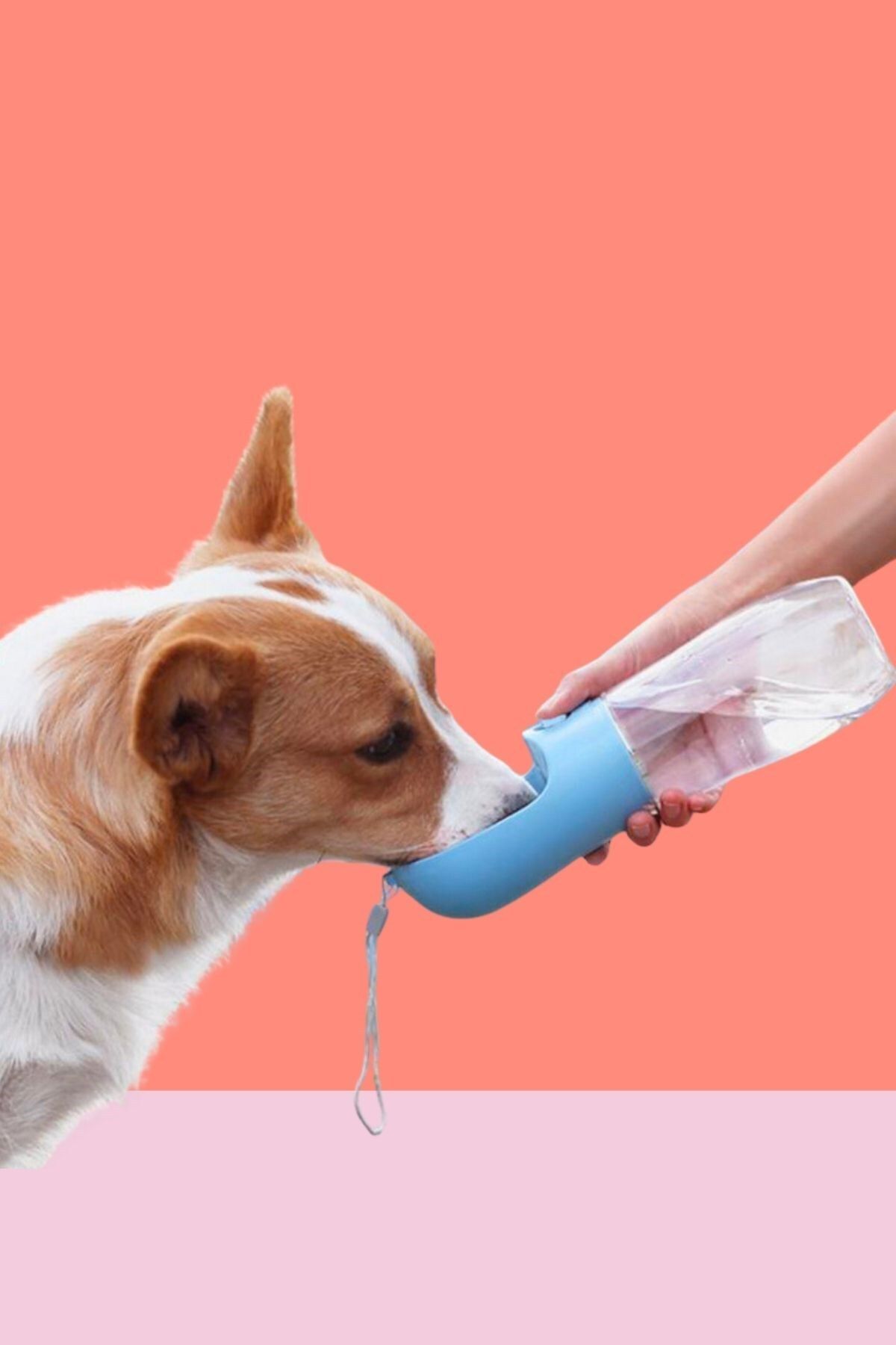 Buffer-®   450 ml Portable Button Pet Waterer 3