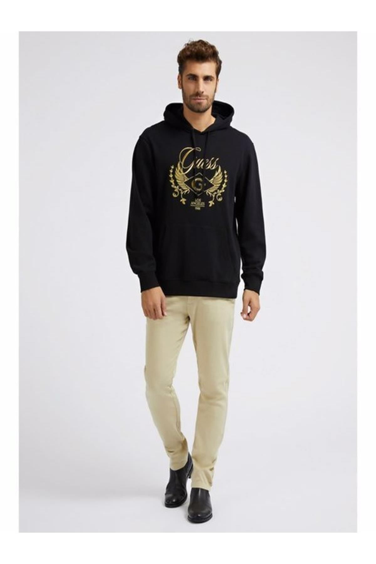 Guess roy discount logo pullover hoodie