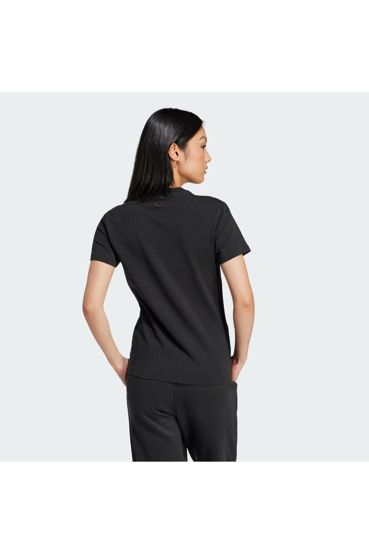 Adidas shop premium tee