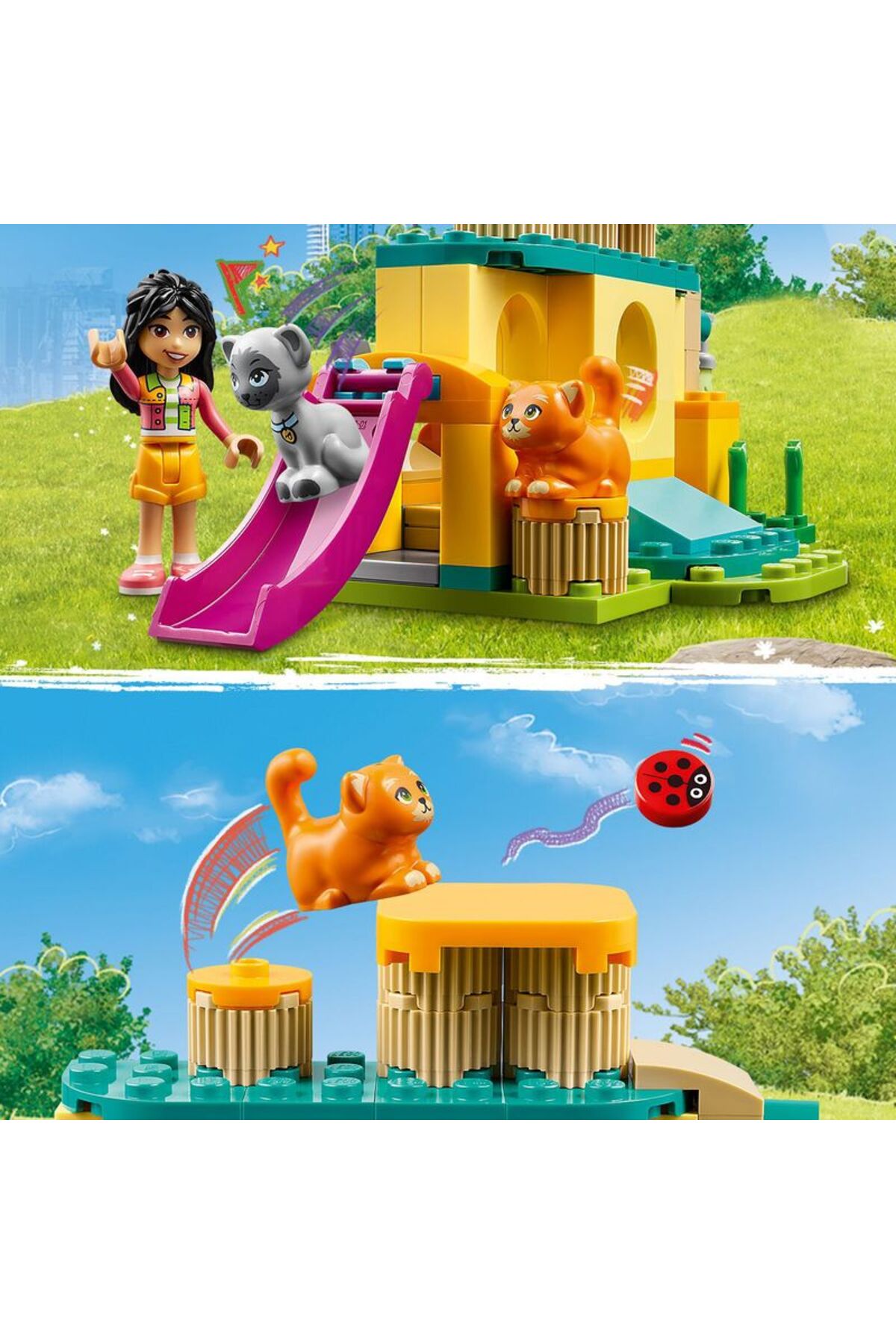 ماجراجویی زمین بازی گربه‌ها دوستان ۴۲۶۱۲