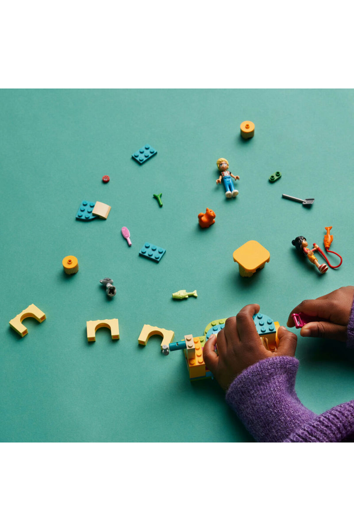 ماجراجویی زمین بازی گربه‌ها دوستان ۴۲۶۱۲