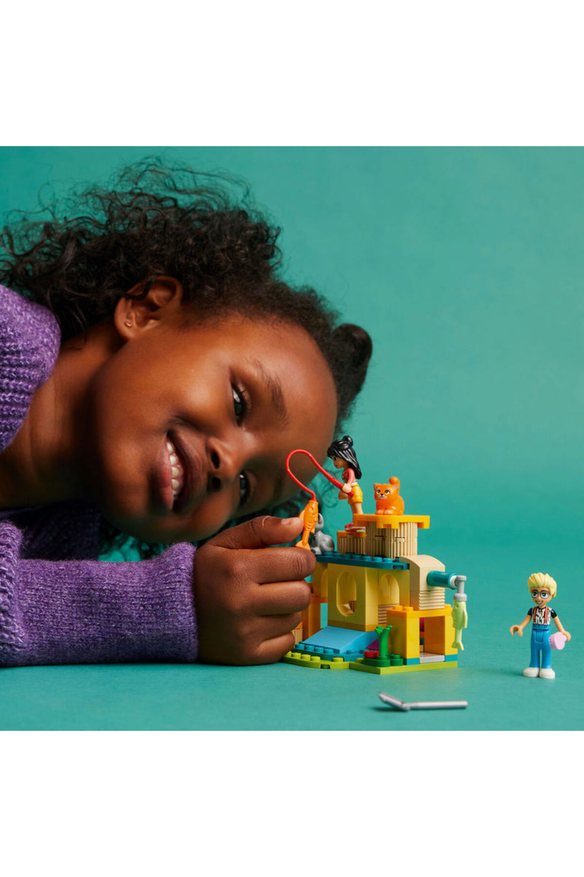 ماجراجویی زمین بازی گربه‌ها دوستان ۴۲۶۱۲