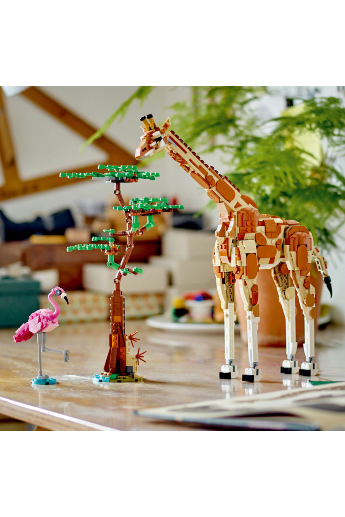 سازنده وایلد سافاری حیوانات ۳۱۱۵۰