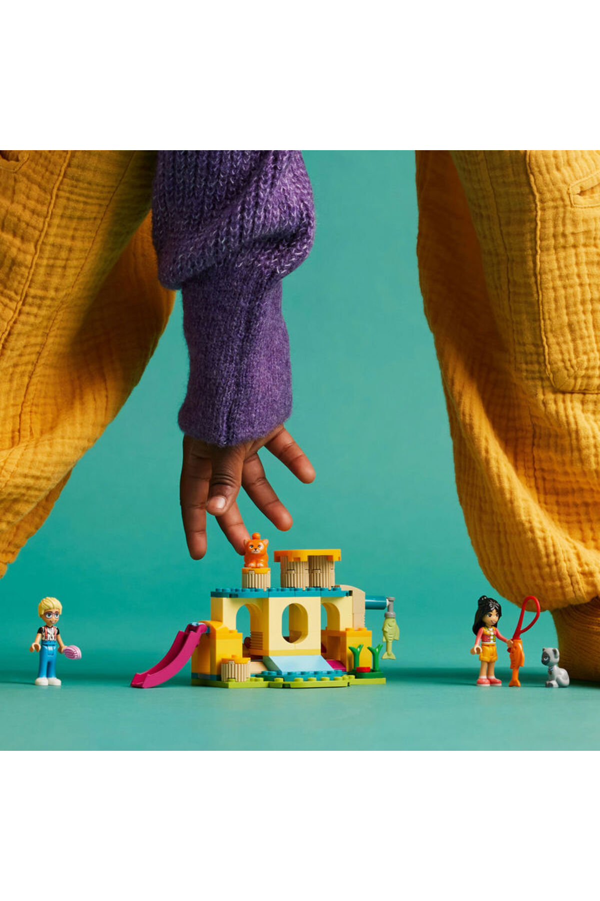 ماجراجویی زمین بازی گربه‌ها دوستان ۴۲۶۱۲