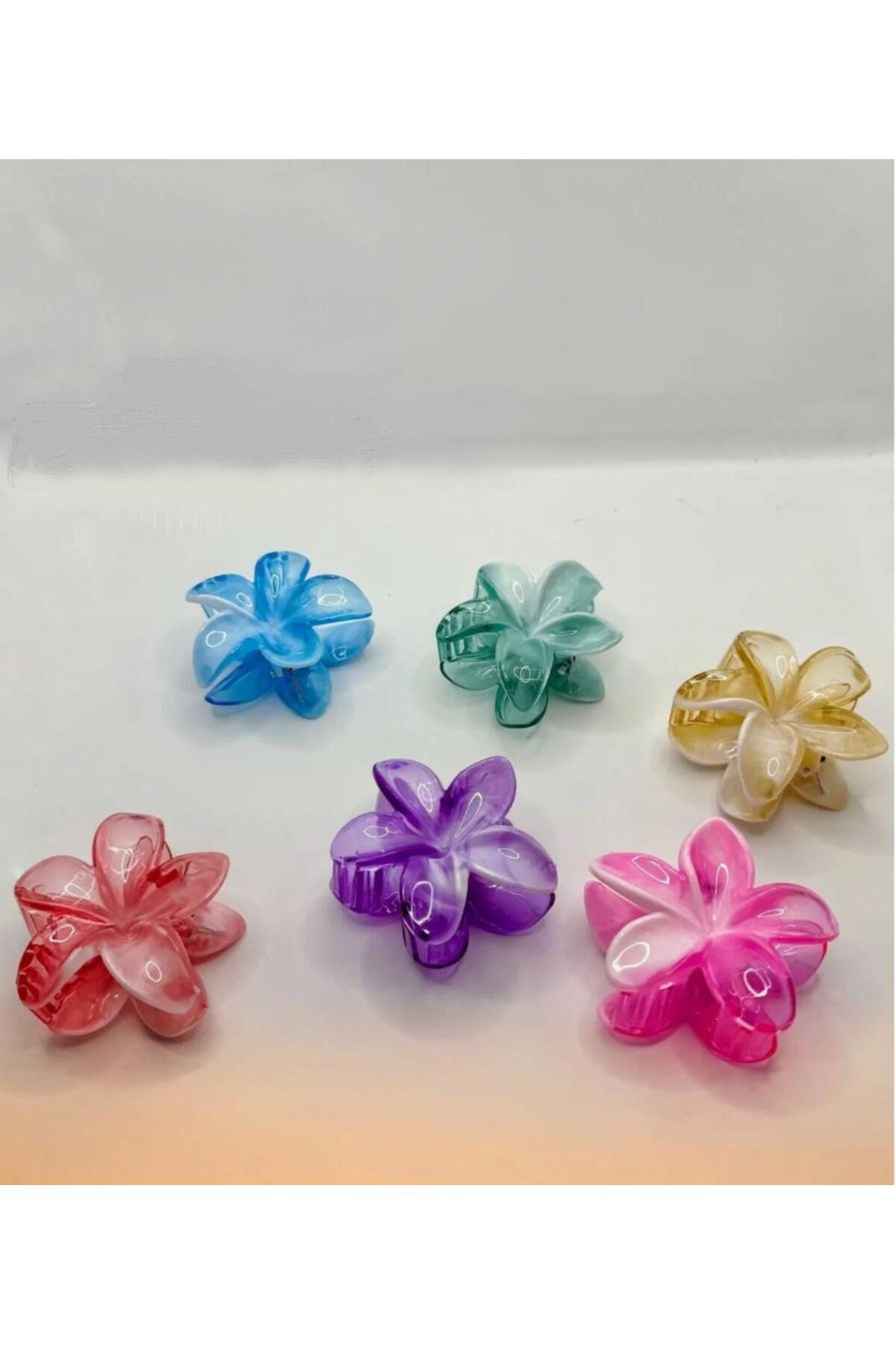 TETHOME 6 LI LOTUS MANDAL SAÇ TOKASI PARLAK ŞEFAF RENKLER Fiyatı ...