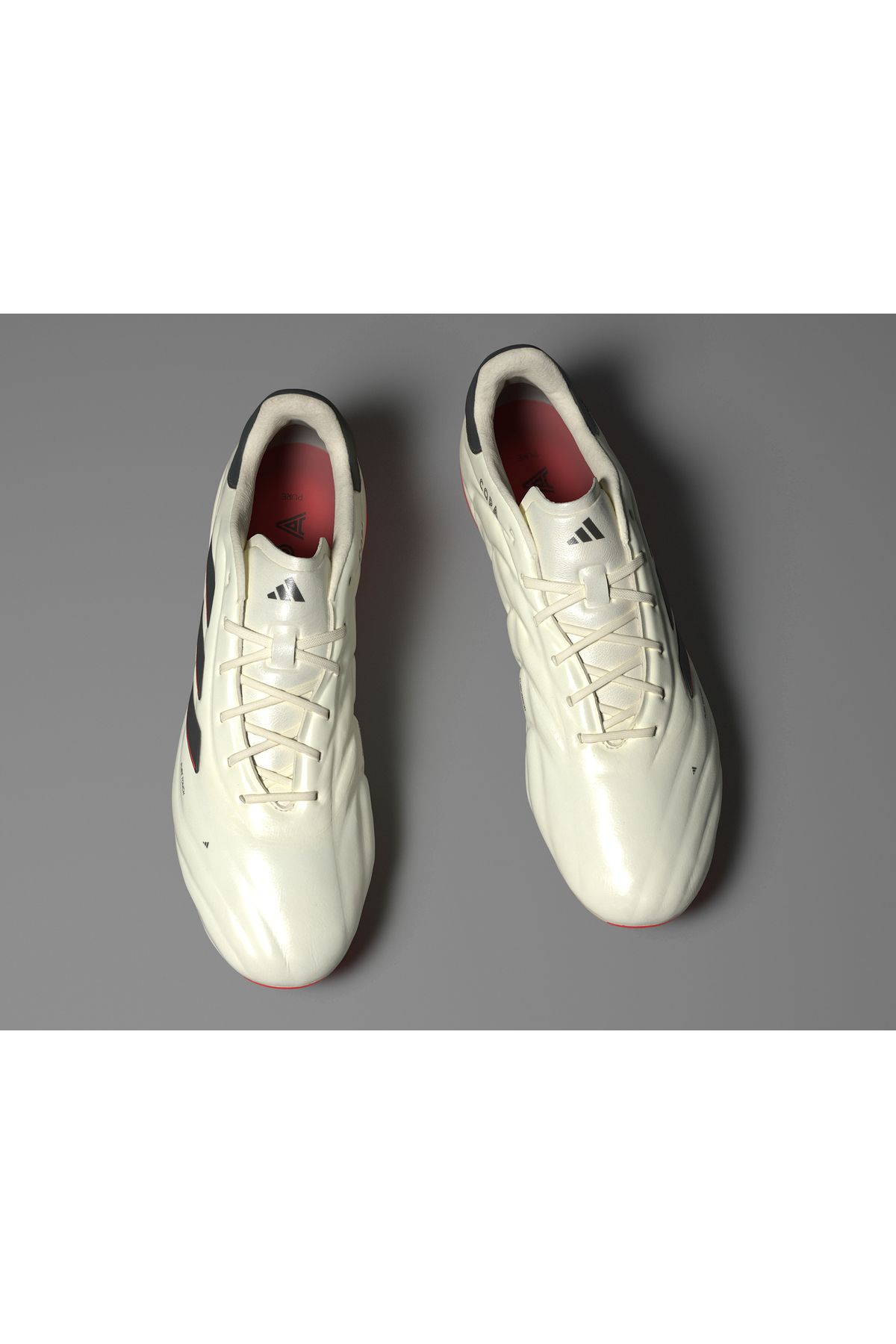 Adidas crampons 2019 top