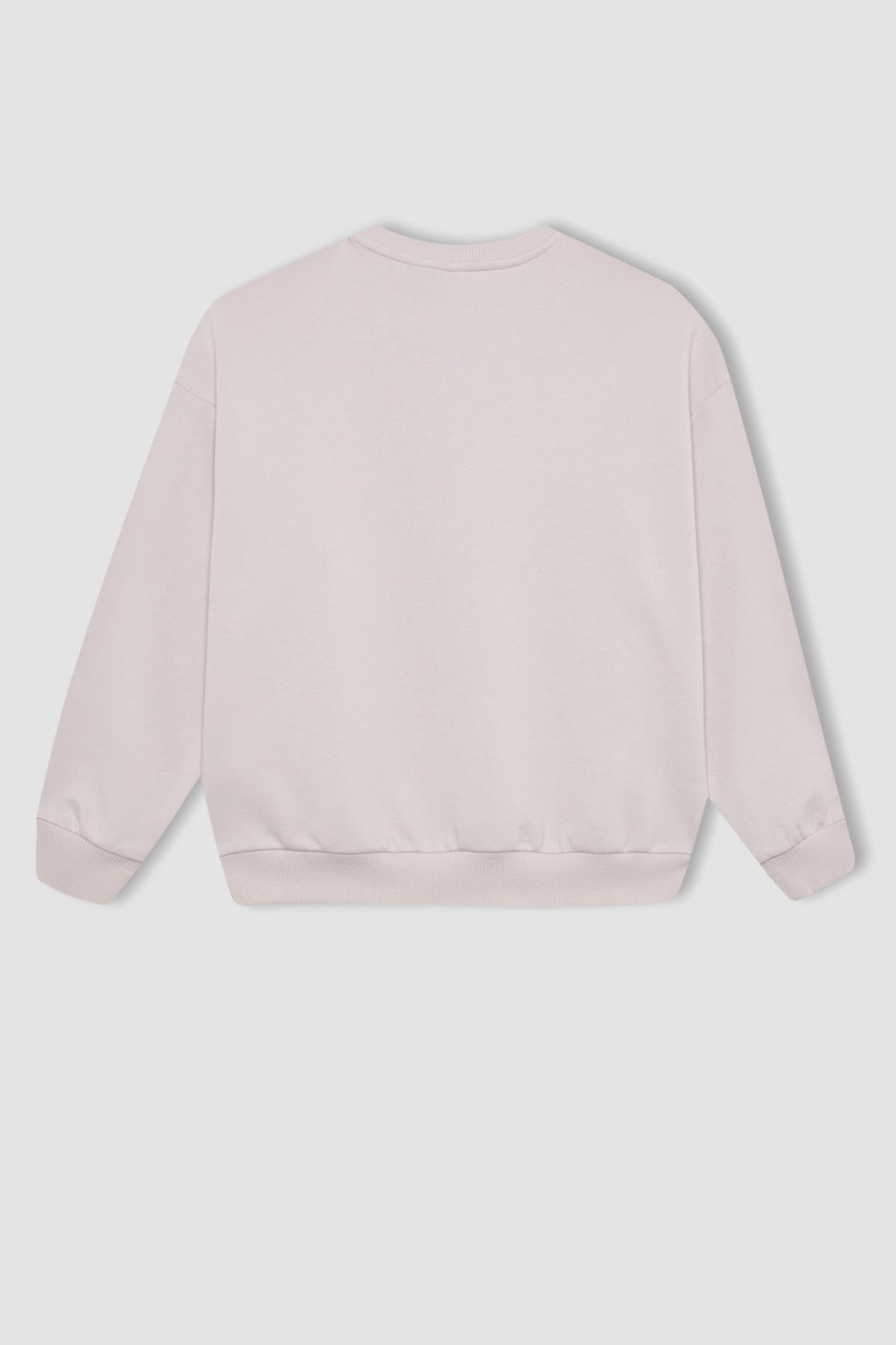 سویشرت دخترانه دفاکتو | C0802A824SP Defacto - Image 3