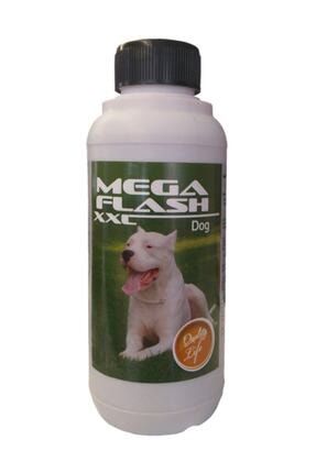 https www trendyol com pharmax aminosol at kedi ve kopek aminoasit ve vitamin destegi 1 litre p 47004645
