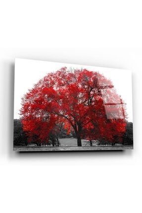 Kırmızı Ağaç Cam Tablo CT1122