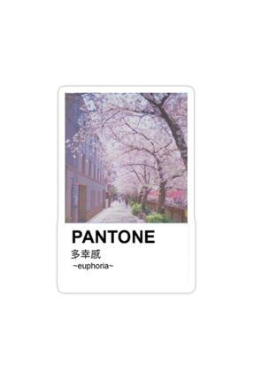 Pantone Estetik Japon Kiraz Çiçekleri Sticker Araba Oto Arma Duvar Dekoratif Çıkartma 15 Cm X68S4310