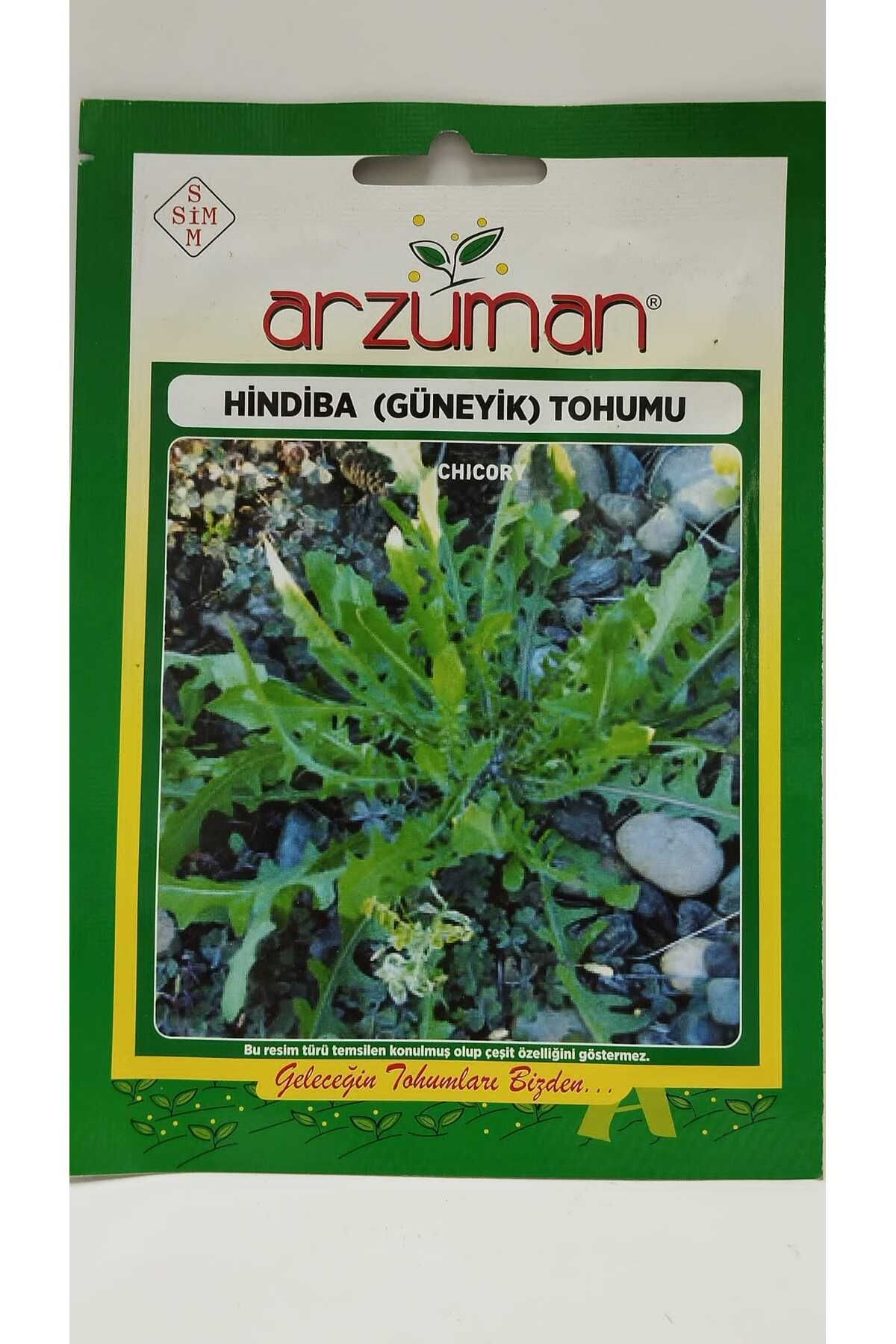 Hindiba Tohumu